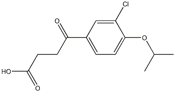 4-(3-Chloro-4-isopropyloxyphenyl)-4-oxobutyric acid 구조식 이미지