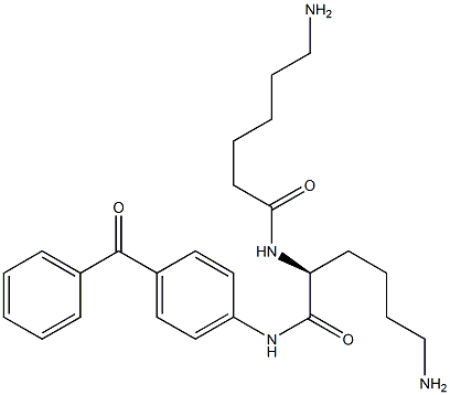 4-(N2-(6-Aminohexanoyl)-L-lysylamino)benzophenone 구조식 이미지