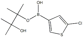 5-Chlorothiophene-3-boronic acid pinacol ester 구조식 이미지