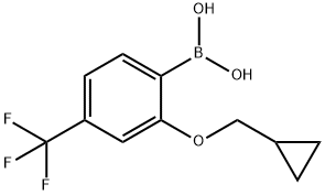 2-(Cyclopropylmethoxy)-4-trifluoromethylphenylboronic acid Structure