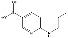 6-(propylamino)pyridin-3-ylboronic acid Structure