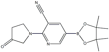 5-(4,4,5,5-tetramethyl-1,3,2-dioxaborolan-2-yl)-2-(3-oxopyrrolidin-1-yl)pyridine-3-carbonitrile 구조식 이미지