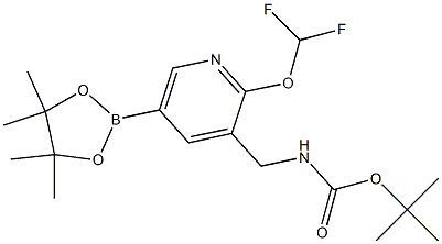 tert-butyl ((2-(difluoromethoxy)-5-(4,4,5,5-tetramethyl-1,3,2-dioxaborolan-2-yl)pyridin-3-yl)methyl)carbamate 구조식 이미지