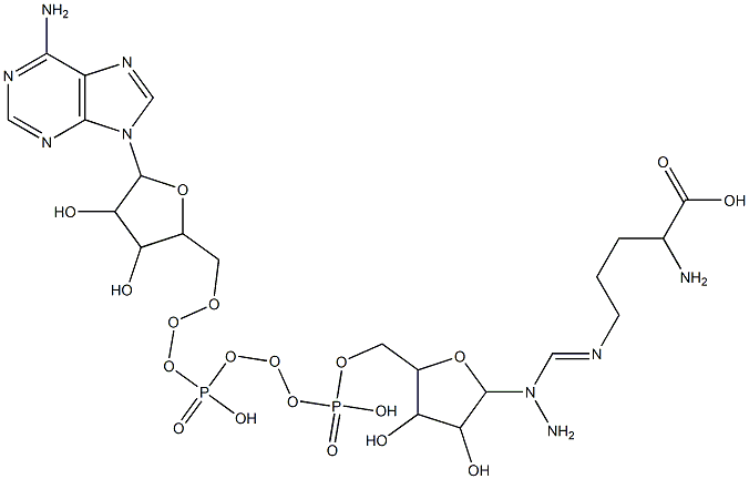 2-amino-5-[amino-[5-[[[[5-(6-aminopurin-9-yl)-3,4-dihydroxy-oxolan-2-yl]methoxy-hydroxy-phosphoryl]oxy-hydroxy-phosphoryl]oxymethyl]-3,4-dihydroxy-oxolan-2-yl]amino-methylidene]amino-pentanoic acid 구조식 이미지