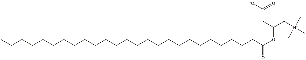 hexacosanoyl carnitine Structure