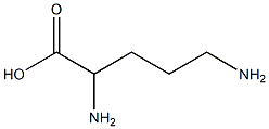 2,5-diaminovaleric acid Structure