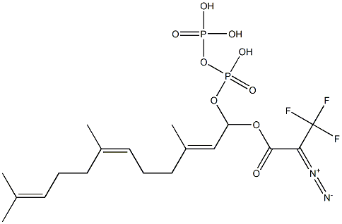 2-diazo-3,3,3-trifluoropropionyloxy-farnesyl diphosphate 구조식 이미지