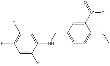 2,4,5-trifluoro-N-(4-methoxy-3-nitrobenzyl)aniline 구조식 이미지