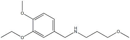 [(3-ethoxy-4-methoxyphenyl)methyl](3-methoxypropyl)amine Structure