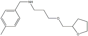 [(4-methylphenyl)methyl][3-(oxolan-2-ylmethoxy)propyl]amine 구조식 이미지