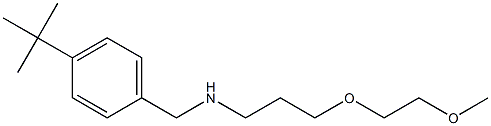 [(4-tert-butylphenyl)methyl][3-(2-methoxyethoxy)propyl]amine 구조식 이미지