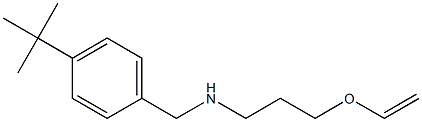 [(4-tert-butylphenyl)methyl][3-(ethenyloxy)propyl]amine 구조식 이미지