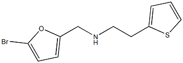 [(5-bromofuran-2-yl)methyl][2-(thiophen-2-yl)ethyl]amine Structure