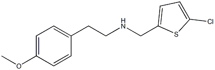 [(5-chlorothiophen-2-yl)methyl][2-(4-methoxyphenyl)ethyl]amine Structure