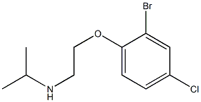 [2-(2-bromo-4-chlorophenoxy)ethyl](propan-2-yl)amine 구조식 이미지