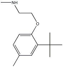 [2-(2-tert-butyl-4-methylphenoxy)ethyl](methyl)amine Structure