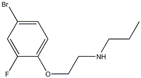 [2-(4-bromo-2-fluorophenoxy)ethyl](propyl)amine 구조식 이미지