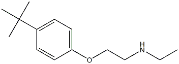 [2-(4-tert-butylphenoxy)ethyl](ethyl)amine 구조식 이미지