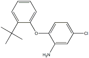 2-(2-tert-butylphenoxy)-5-chloroaniline Structure