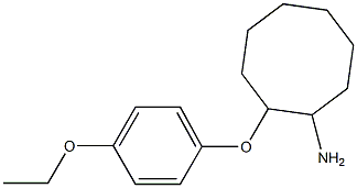 2-(4-ethoxyphenoxy)cyclooctan-1-amine 구조식 이미지