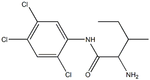 2-amino-3-methyl-N-(2,4,5-trichlorophenyl)pentanamide Structure