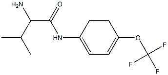 2-amino-3-methyl-N-[4-(trifluoromethoxy)phenyl]butanamide 구조식 이미지