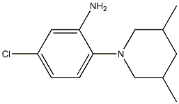 5-chloro-2-(3,5-dimethylpiperidin-1-yl)aniline Structure