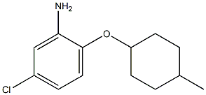 5-chloro-2-[(4-methylcyclohexyl)oxy]aniline Structure