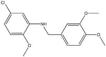 5-chloro-N-[(3,4-dimethoxyphenyl)methyl]-2-methoxyaniline 구조식 이미지