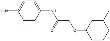 N-(4-aminophenyl)-2-[(3-methylcyclohexyl)oxy]acetamide Structure