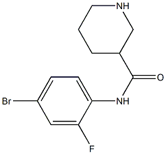 N-(4-bromo-2-fluorophenyl)piperidine-3-carboxamide Structure