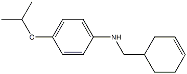 N-(cyclohex-3-en-1-ylmethyl)-4-(propan-2-yloxy)aniline 구조식 이미지