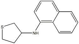 N-(naphthalen-1-yl)thiolan-3-amine 구조식 이미지