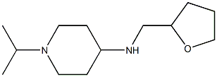 N-(oxolan-2-ylmethyl)-1-(propan-2-yl)piperidin-4-amine 구조식 이미지