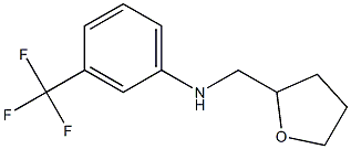 N-(oxolan-2-ylmethyl)-3-(trifluoromethyl)aniline 구조식 이미지