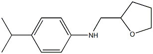 N-(oxolan-2-ylmethyl)-4-(propan-2-yl)aniline 구조식 이미지