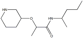 N-(pentan-2-yl)-2-(piperidin-3-yloxy)propanamide Structure