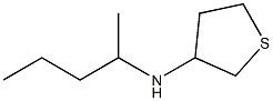 N-(pentan-2-yl)thiolan-3-amine 구조식 이미지