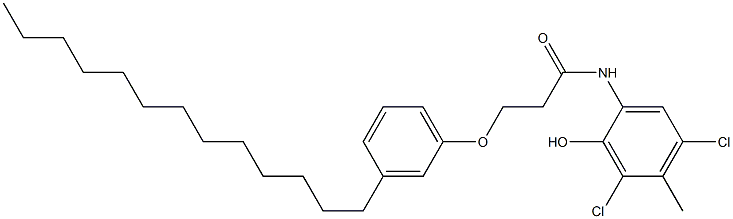 2-[3-(3-Tridecylphenoxy)propanoylamino]-4,6-dichloro-5-methylphenol 구조식 이미지