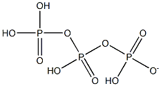 tetrahydrogen triphosphate ion 구조식 이미지