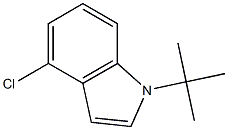 1-tert-butyl-4-chloroindole 구조식 이미지