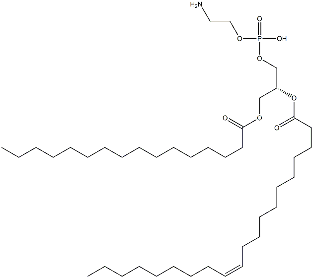 2-aminoethoxy-[(2R)-3-hexadecanoyloxy-2-[(Z)-icos-11-enoyl]oxy-propoxy]phosphinic acid Structure