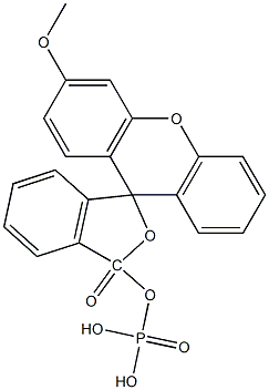 3-O-methylfluorescein phosphate Structure