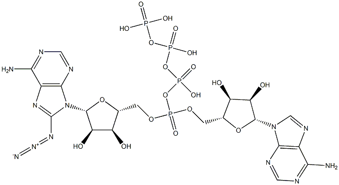 8-azidodiadenosine tetraphosphate 구조식 이미지