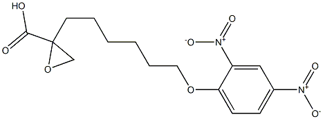 2-(6-(2,4-dinitrophenoxy)hexyl)oxirane carboxylic acid Structure