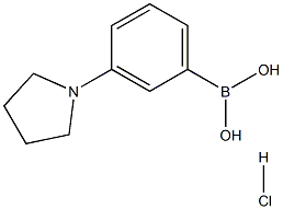 hydrochloride 3-pyrrolidinylphenyl-boronic acid Structure