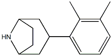 3-(2,3-dimethylphenyl)-8-azabicyclo[3.2.1]octane 구조식 이미지