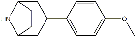 3-(4-methoxyphenyl)-8-azabicyclo[3.2.1]octane Structure