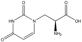 (RS)-WILLARDIINE 구조식 이미지