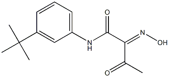 N-(3-TERT-BUTYL-PHENYL)-2-HYDROXYIMINO-3-OXO-BUTYRAMIDE Structure